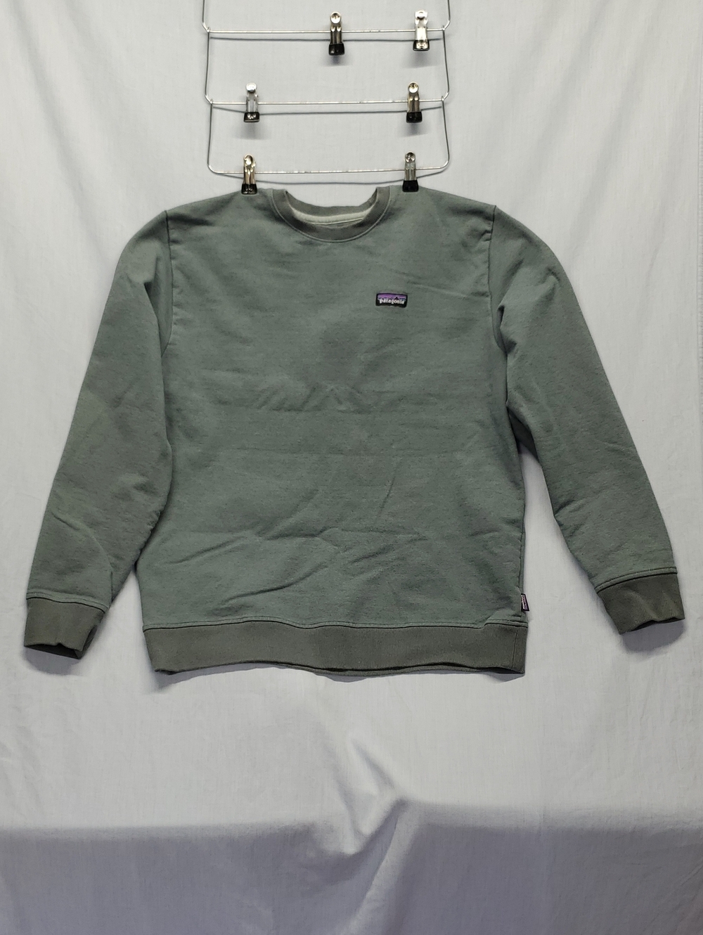 Patagonia Men's Crewneck Sweatshirt - Sage #384